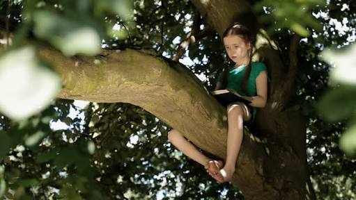 images 91 - CyberNaira girl reading book sitting on a tree