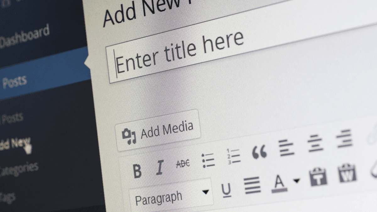 image of a WordPress text editor