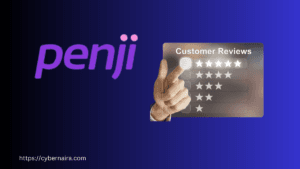 Penji review for clients