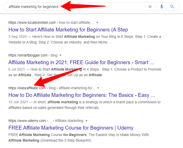 Google search result for the term affiliate marketing for beginners
