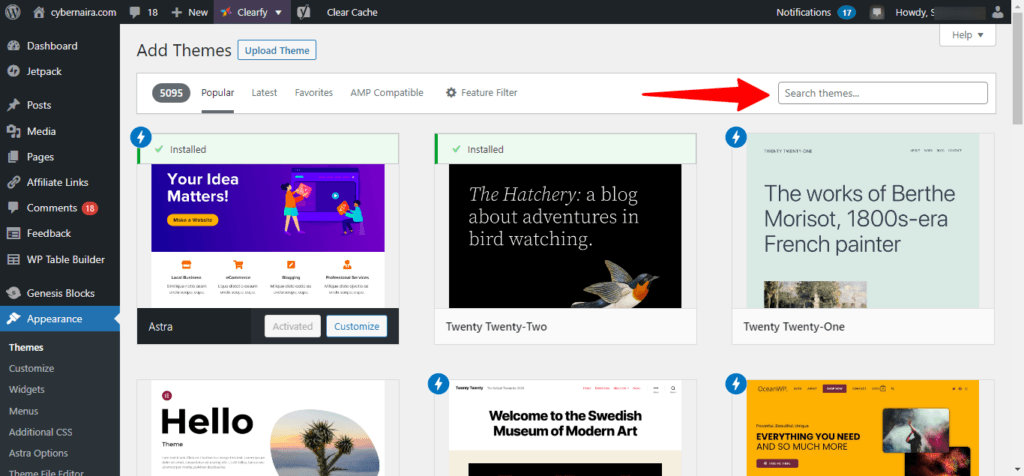 Add new WordPress themes