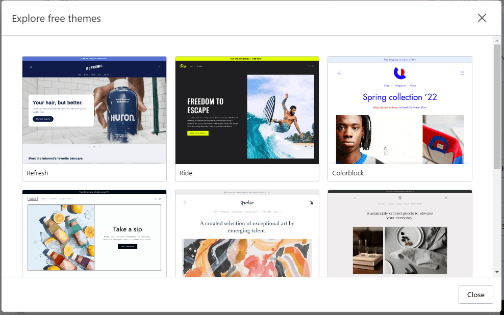 Shopify Store themes examples