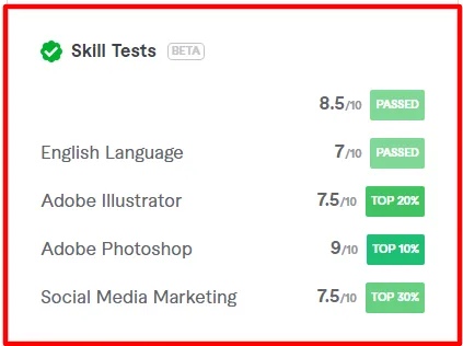 Fiverr skill test results for Rroxx showing passed scores in English and rankings in the top percentage for Adobe Illustrator, Photoshop, and Social Media Marketing.