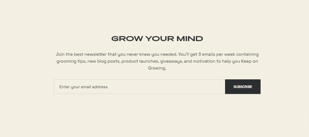 Beardbrand newsletter email form