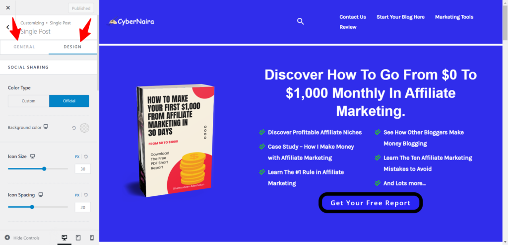 Customize Astra Pro - CyberNaira Astra Pro customizer setting panel