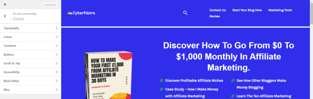 Customize Global settings - CyberNaira Astra Global setting panel