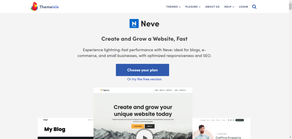 Neve Fast Lightweight WordPress Theme Ideal for Any Website - CyberNaira Neve WordPress Themes