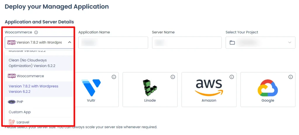 Cloudways application and server selection providers like Vultr, Linode, AWS, and Google Cloud options.