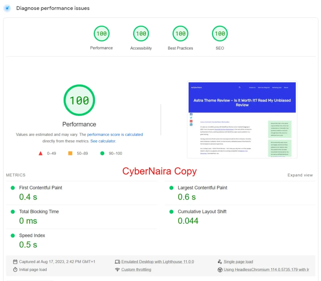 Google PageSpeed Insights desktop performance report showing perfect score of 100 with metrics including First Contentful Paint, Largest Contentful Paint, Total Blocking Time, and Cumulative Layout Shift.