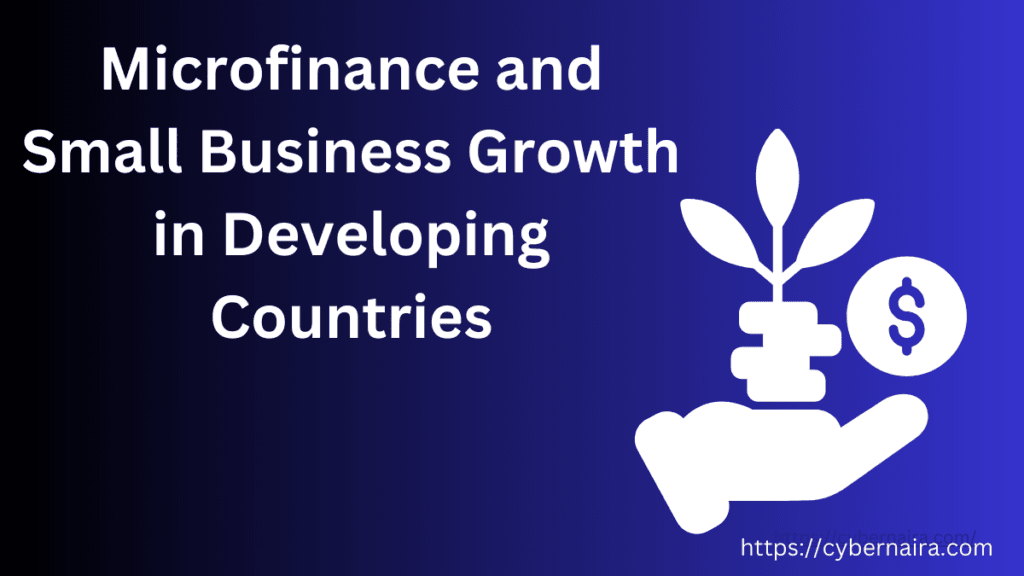 Microfinance and Small Business Growth in Developing Countries - featured image