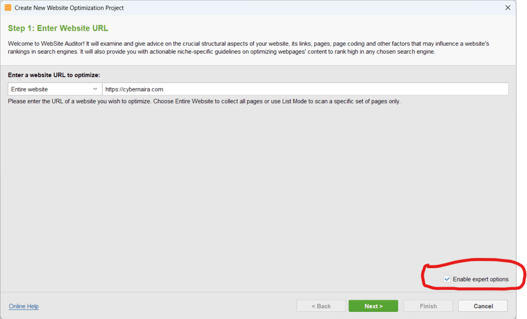 Setting up Website Auditor 