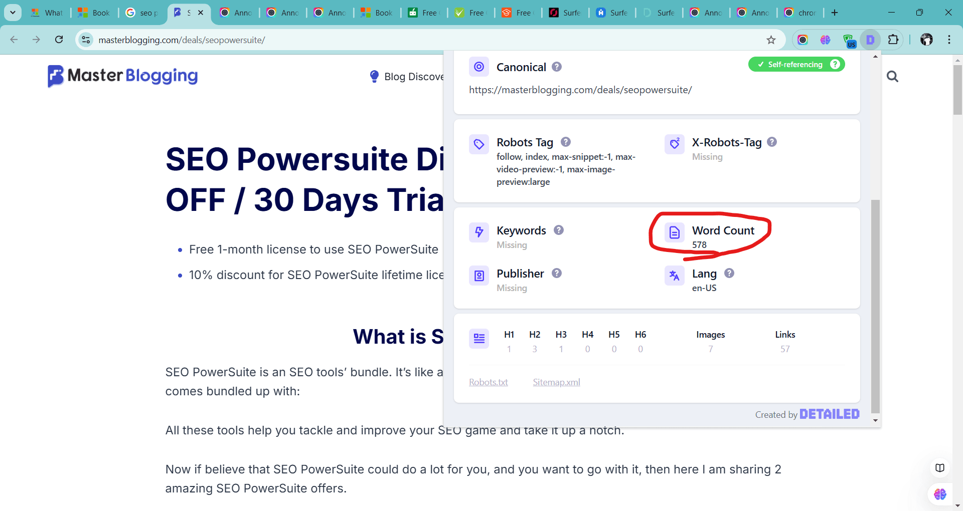 Sufer SEO Recommendations verify 1 1