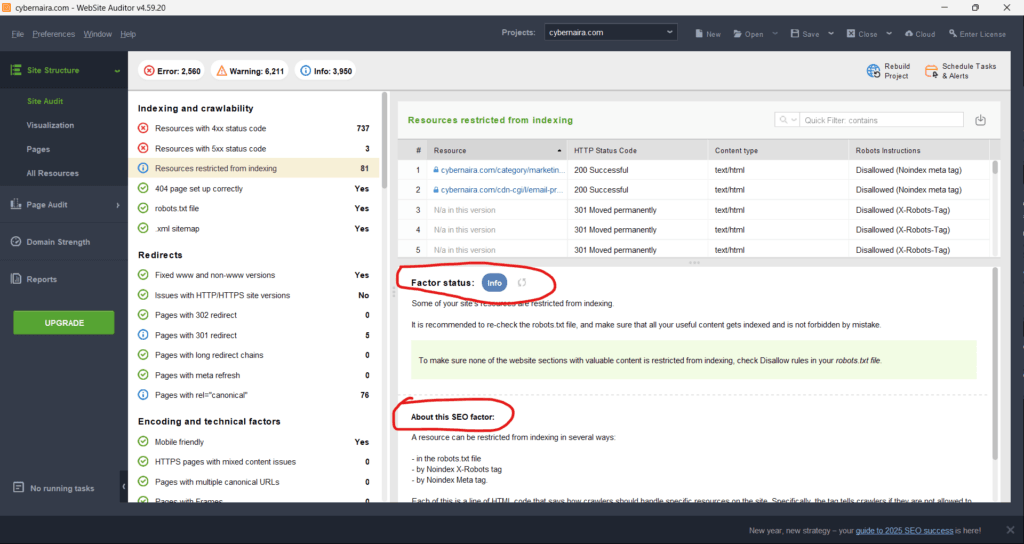 Website Auditor - About the factor and Factor status panel