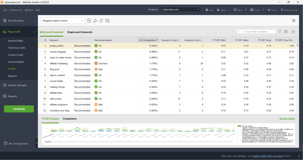 Website Auditor - TF-IDF Report