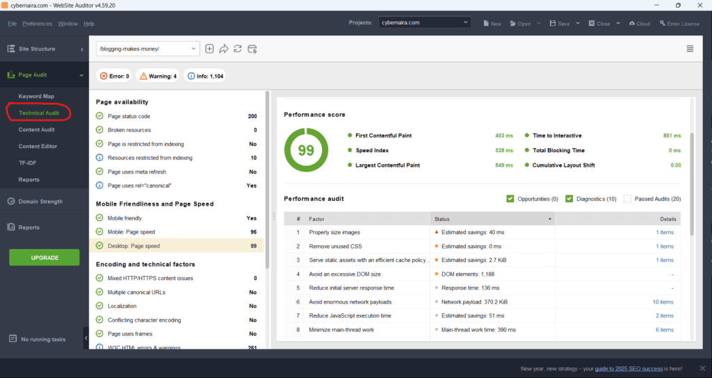 Website Auditor -Technical Audit - Core Web Vital Reports