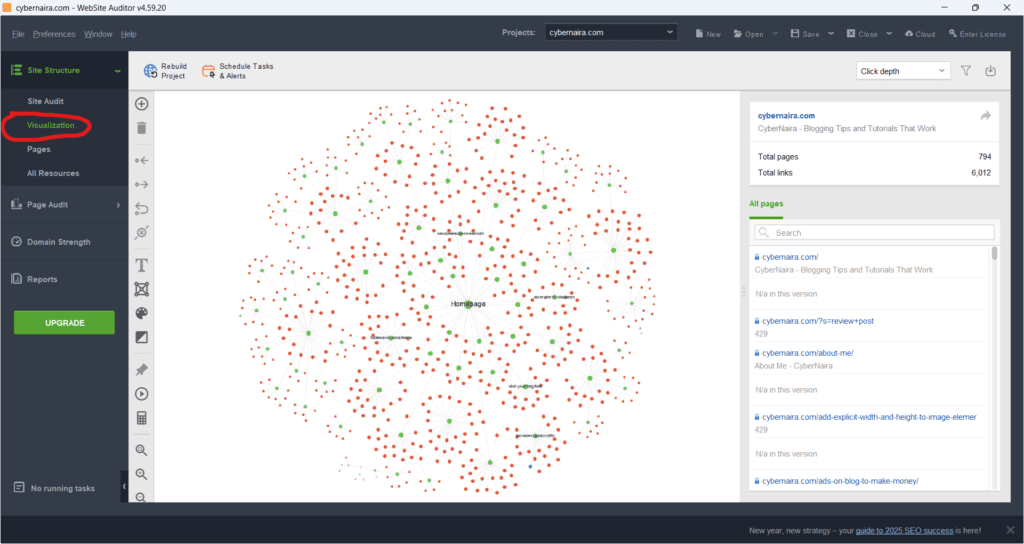 Website Auditor - Visualization reports