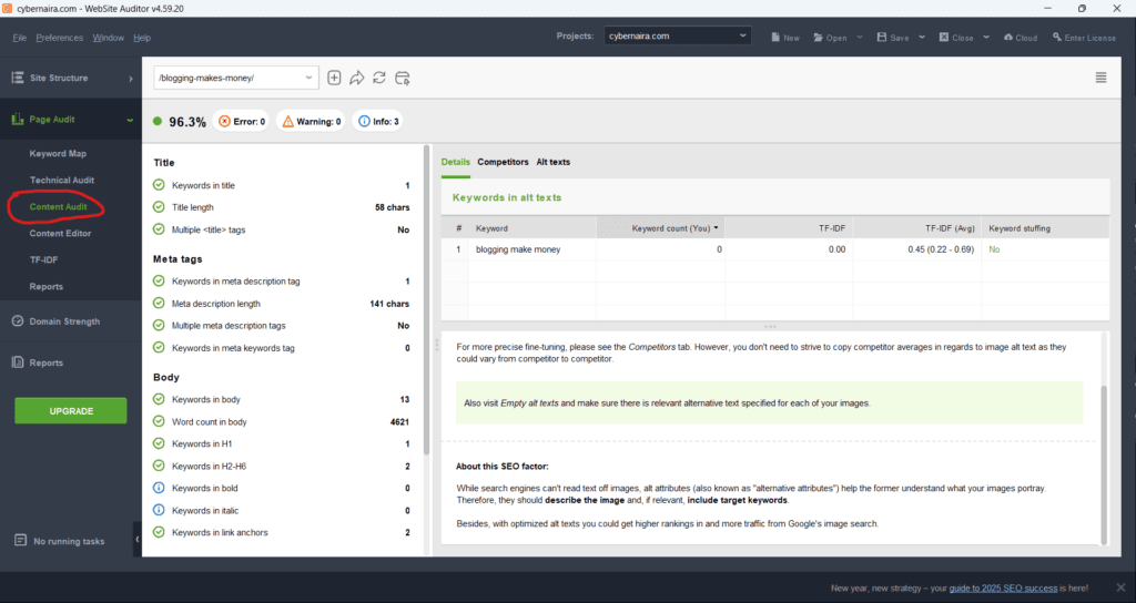 Website Auditor - content audit module