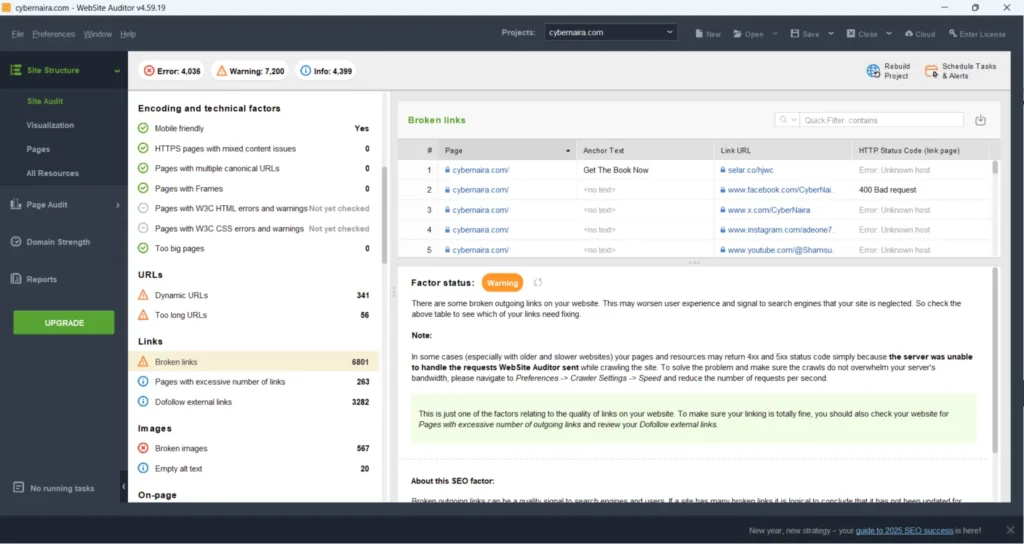 Website Auditor site audit dashboard showing broken links report, technical SEO issues, and page audit results for cybernaira.com.