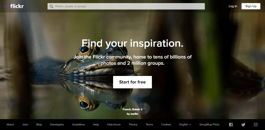 Flickr landing page with a frog in water background showing "Find your inspiration" and a start for free button.