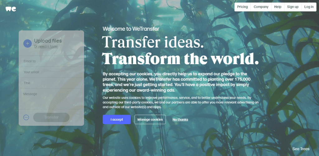 WeTransfer landing page with an undersea kelp background showing a file upload widget and cookie consent banner.