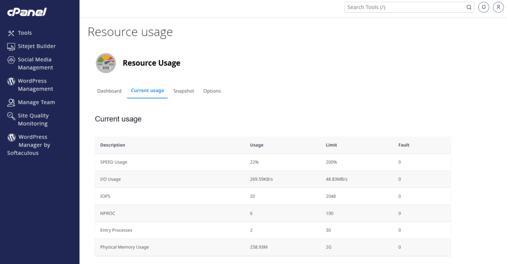 cpanel resource usage metrics current performance cPanel Resource Usage dashboard showing current usage metrics for SPEED, I/O, IOPS, NPROC, Entry Processes, and Physical Memory.