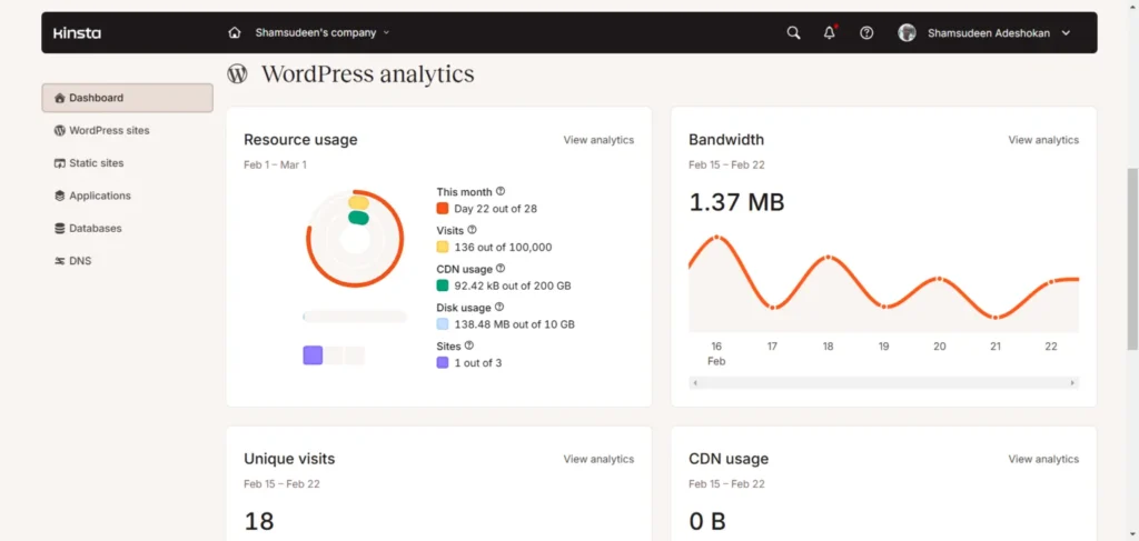 Kinsta hosting dashboard showing WordPress analytics, resource usage, bandwidth, CDN usage, and site performance metrics.