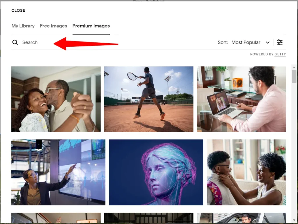 Squarespace image library search interface showing premium stock photos powered by Getty Images.